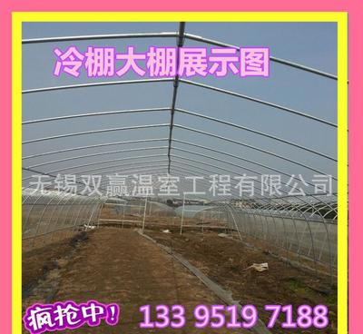 單體溫室大棚 山東地區蔬菜種植的高效解決方案